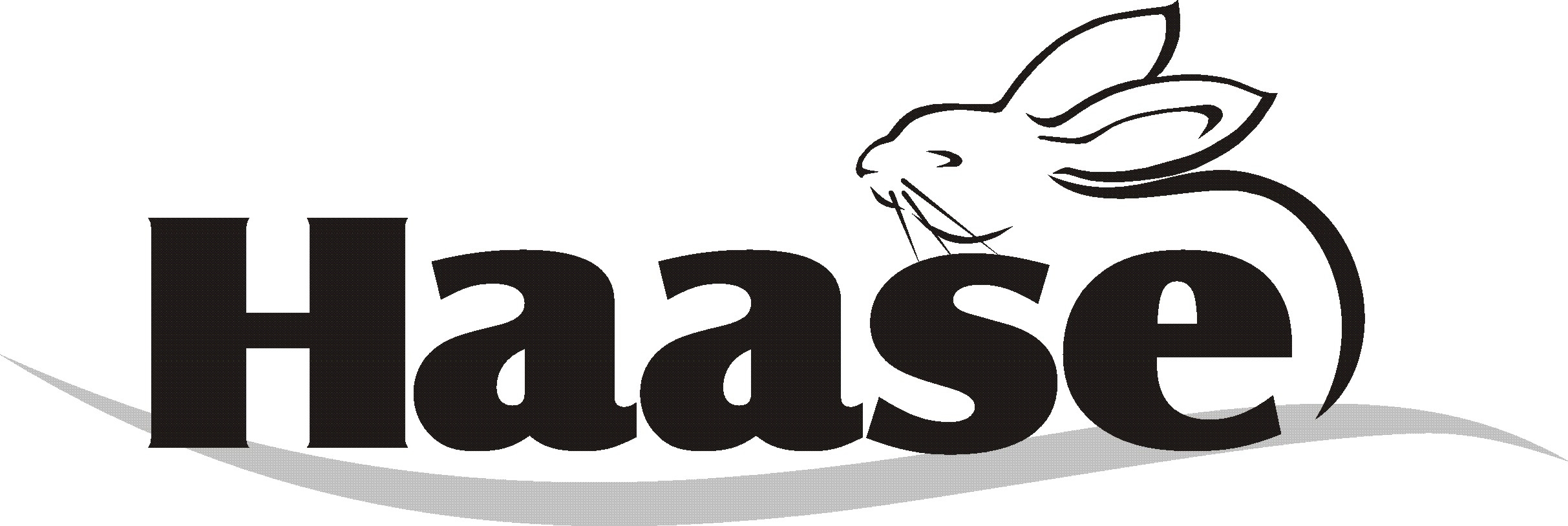 Neues Logo Haase3
